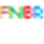 First National Battalion of Roblox
