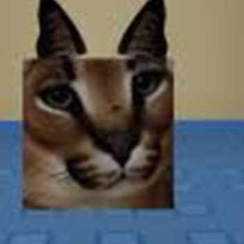 Raise A Floppa Recreation [Donation!]