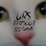 urs ; r