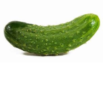 pickle fun club