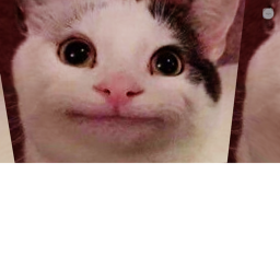 kitty cat troll obby