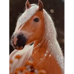 pearl riding school