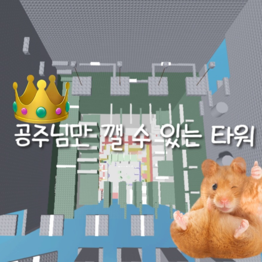 A tower that only princesses can break