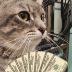 E-Kittenss
