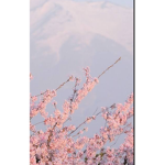 Skilled Studios-