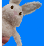 BaCoN and bUnNy