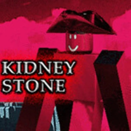 KIDNEY STONE