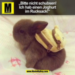 Die coolen B a c k f i s c h e