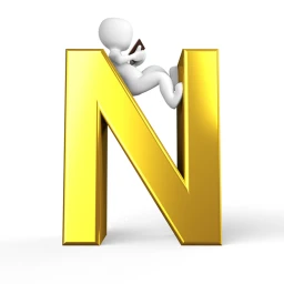 N2 icon