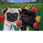 Doggies onlie