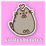 Gatitos bonito