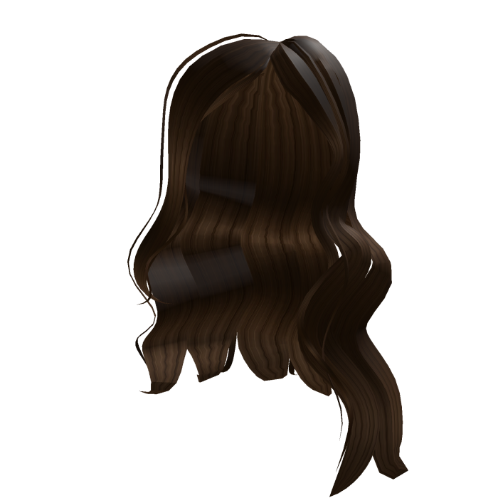 Long Wavy Hair  Chocolate Brown.