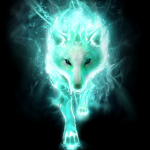 SHADOW_PLAYZ TEAM
