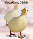 Baguette is love