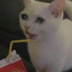memy