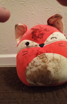 Squishmallowgroup