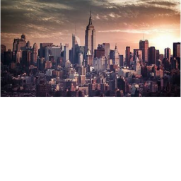 city