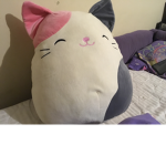 Poop cat