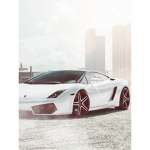 Lambo boys! Join now!