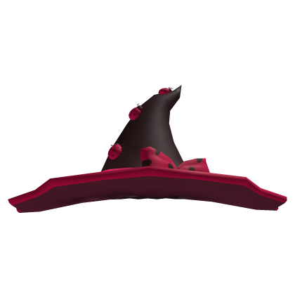 Insect LadyBug Brown and Pink Witch Hallowen Hat