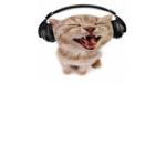 cool cat gaming inc.