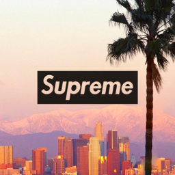 Supreme Incorporation Fund