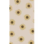 {Sunflowers} <3