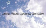 Athletic Pandas Dance and Gymnastics