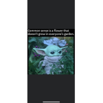 Not only baby Yoda‘s