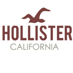 Hollister Co .