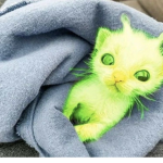 gloopys