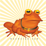 The Toad