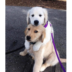 Grace and Amber
