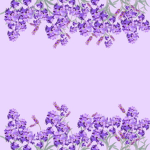 XxxLavenderxxX