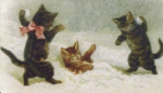 Kawaii krew group