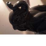 Ůņįçøřņ Pęøpļę