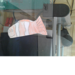 The Offical Nemo Army