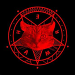 The official Cat Cult