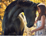 Horses are da best