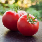 tomato boiss