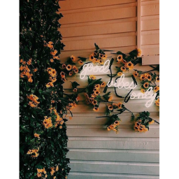 🎇