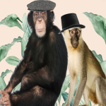 Monkey Ape Mafia
