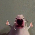 ~- br0k3n barb$ -~
