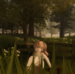 Paril