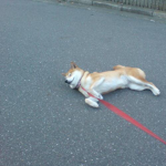 nͫiͤcͫeͤ®