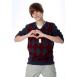 *The rose petals *