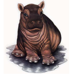 Hippo Time