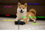 Epic Doge Crew