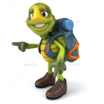 timothy turtle fan club
