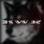 Black Wolf Rangers